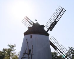 Windmühle Podersdorf